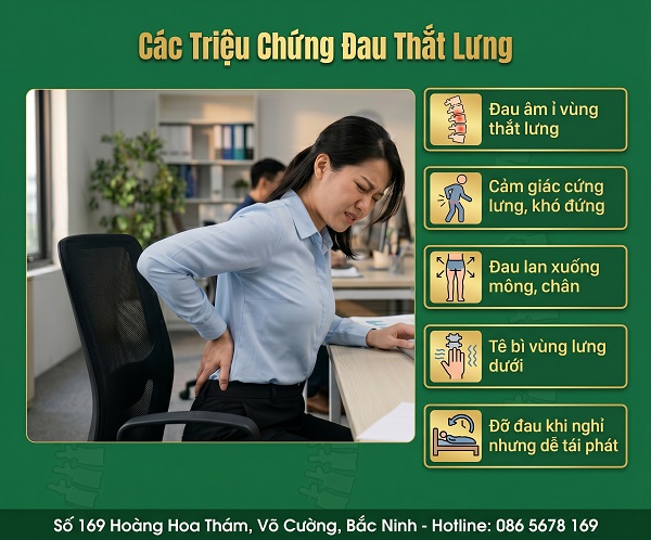 Mỏi thắt lưng khi ngồi lâu: Báo động sức khỏe mà nhiều người bỏ qua